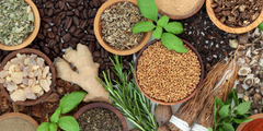 Clinical Insights into the Effective Use of Adaptogens