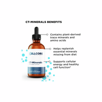 Detox Support Kit | CellCore Biosciences