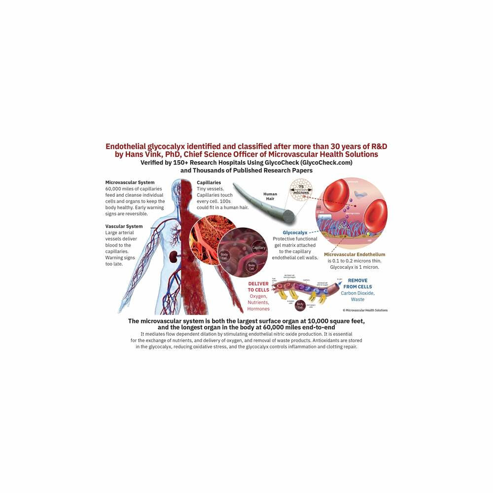 Endocalyx Pro - 120 Capsules | Microvascular Health Solutions